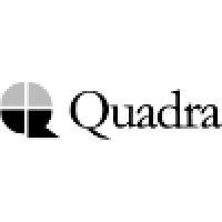 quadrasystems.net india pvt ltd logo image