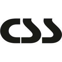 css computer-systems-support gmbh logo image