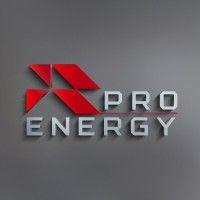 pro energy logo image