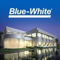 blue-white industries logo image