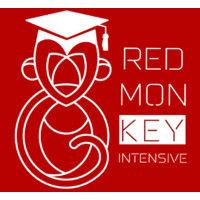 it academy redmonkey intensive logo image