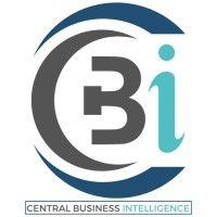 central business intelligence logo image