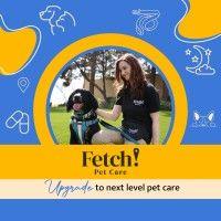 fetch! pet care logo image