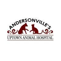 uptown animal hospital, inc