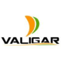 valigar logo image