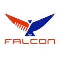 falcon solutions logo image