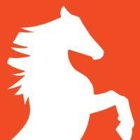 stallion infrastructure services logo image