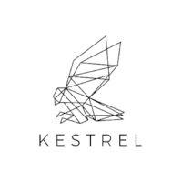 kestrel0x1 logo image