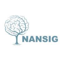 nansig logo image