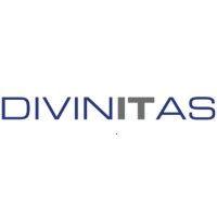 divinitas it ltd logo image