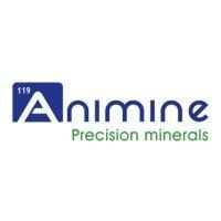 animine logo image