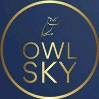 owl sky regulatory logo image