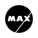 logo of Max Security Solutions Ltd