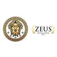 zeus detox rehab & spa logo image