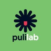 pulilab logo image