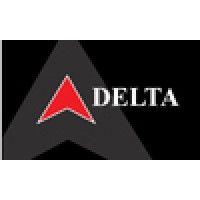 delta computer consulting logo image