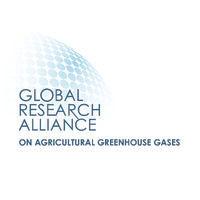 global research alliance on agricultural greenhouse gases (gra) logo image