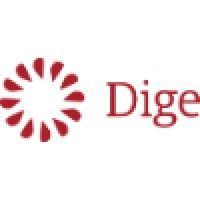 dige - mobile and web software development house logo image