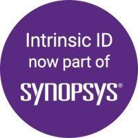 intrinsic id logo image