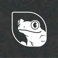 treefrog marketing logo image