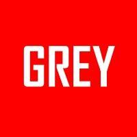 discover grey logo image