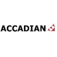 accadian