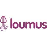 loumus data systems logo image