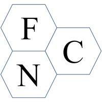 fn consulting logo image