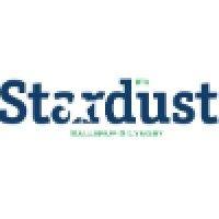 stardust-dtu logo image