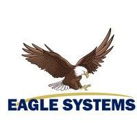 eagle systems logo image