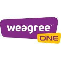 weegree one - humanoid robots logo image