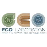 ecollaboration logo image