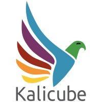 kalicube logo image