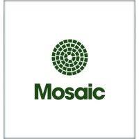 mosaic logo image