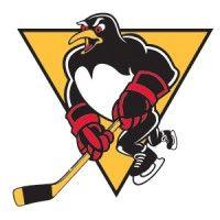 wilkes-barre/scranton penguins logo image