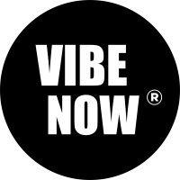 the vibe now logo image