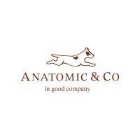 anatomic shoes logo image