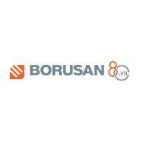 borusan holding logo image