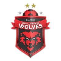 wollongong wolves football club logo image