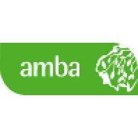 amba research logo image