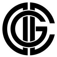 dimes capital group logo image