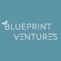 blueprint ventures logo image