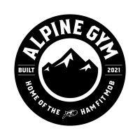 the alpine gym logo image