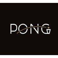 pong group logo image