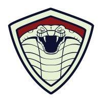 cobra cabinetry corp. logo image