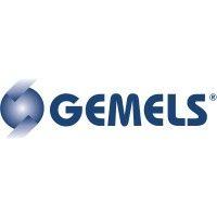 gemels s.p.a. logo image