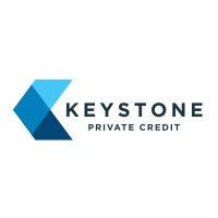 keystone national group logo image