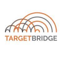 targetbridge llc logo image