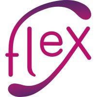 flex logo image