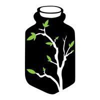 bottle & branch logo image